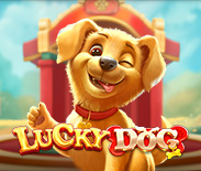Lucky Dog PP